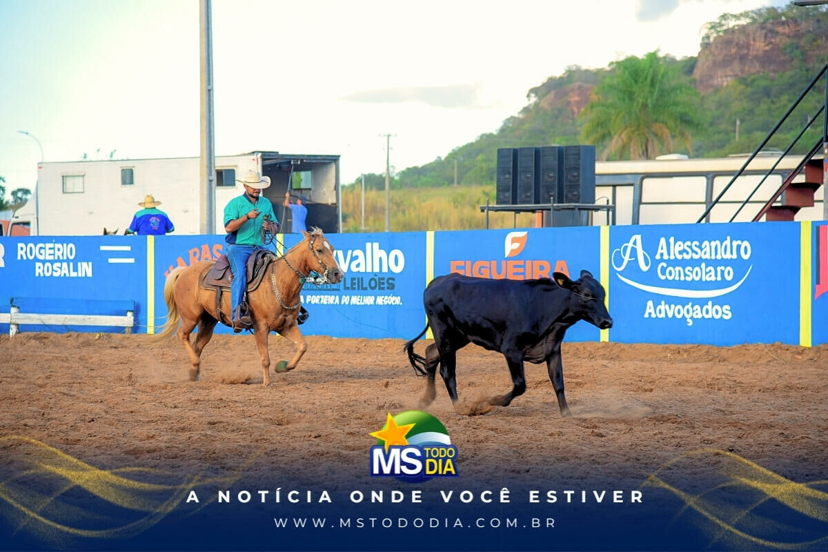 Imagem da Galeria